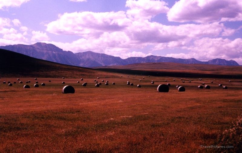 bale bales foothill foothills hay grass